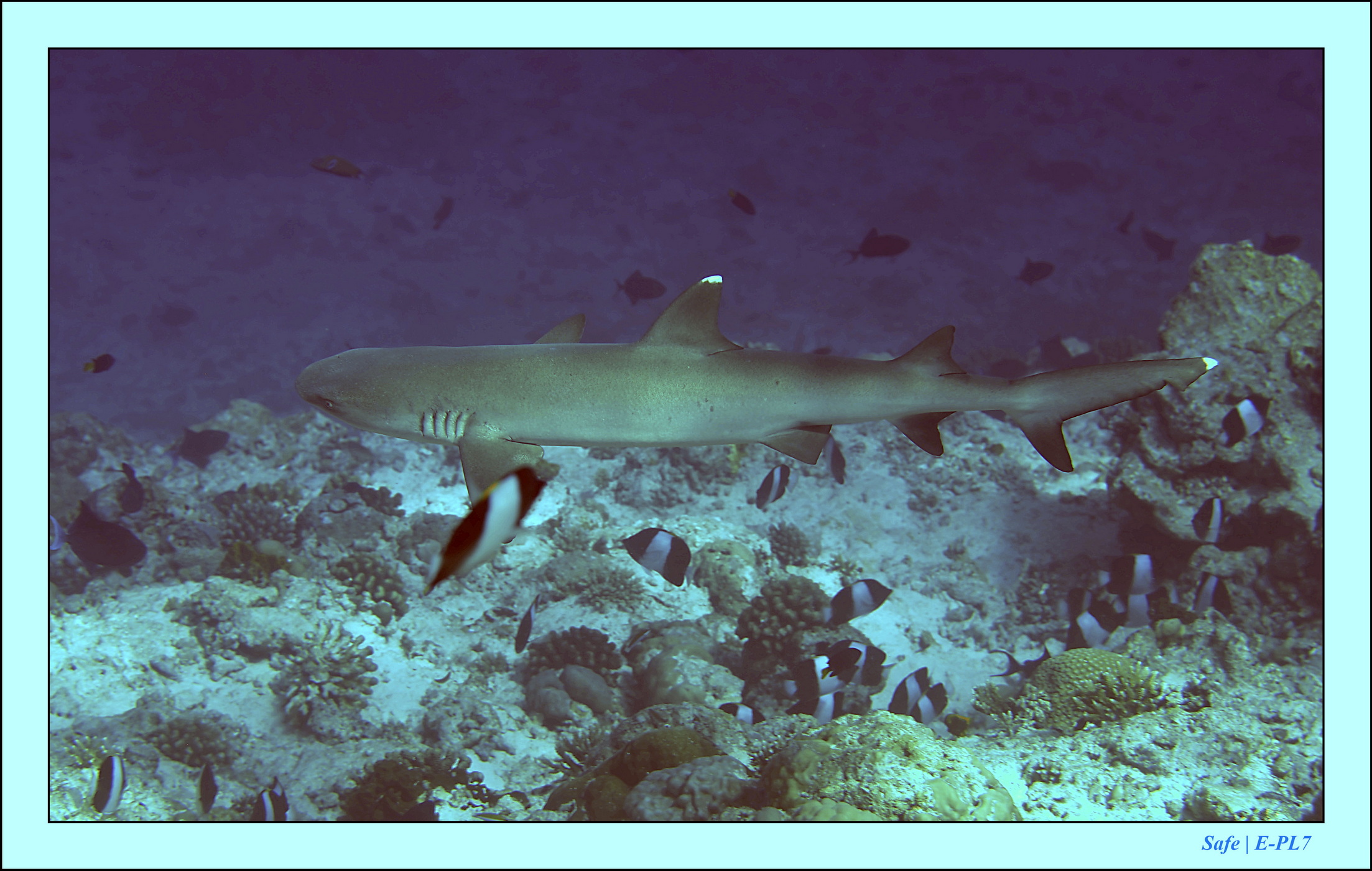 2023 - 07 - Sandies Bathala - 179